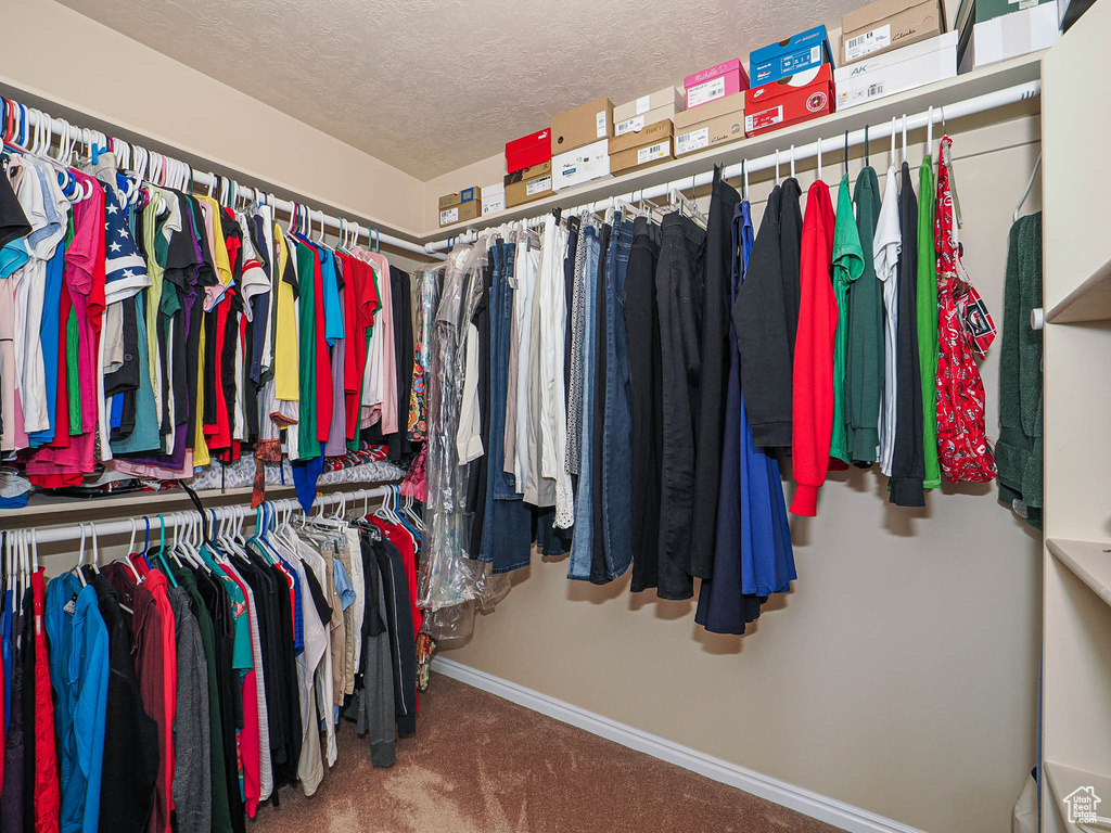 Walk in closet featuring carpet floors