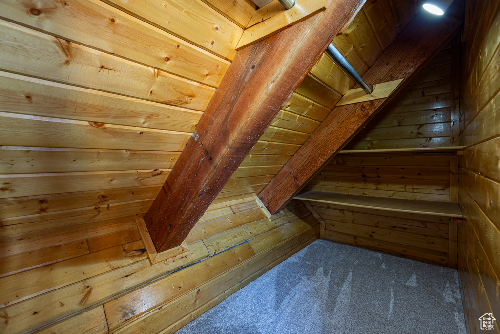 Additional living space with wooden walls and carpet