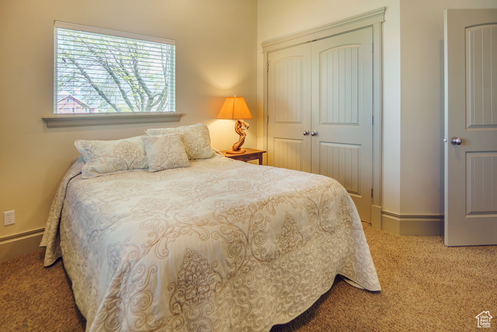 Carpeted bedroom featuring a closet