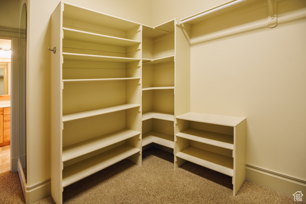 Walk in closet with carpet floors