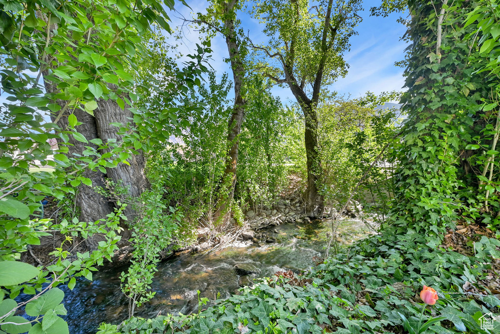 View of nature