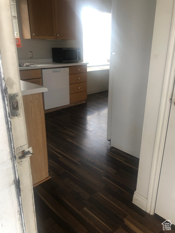 Kitchen with light countertops, dark wood finished floors, and dishwasher