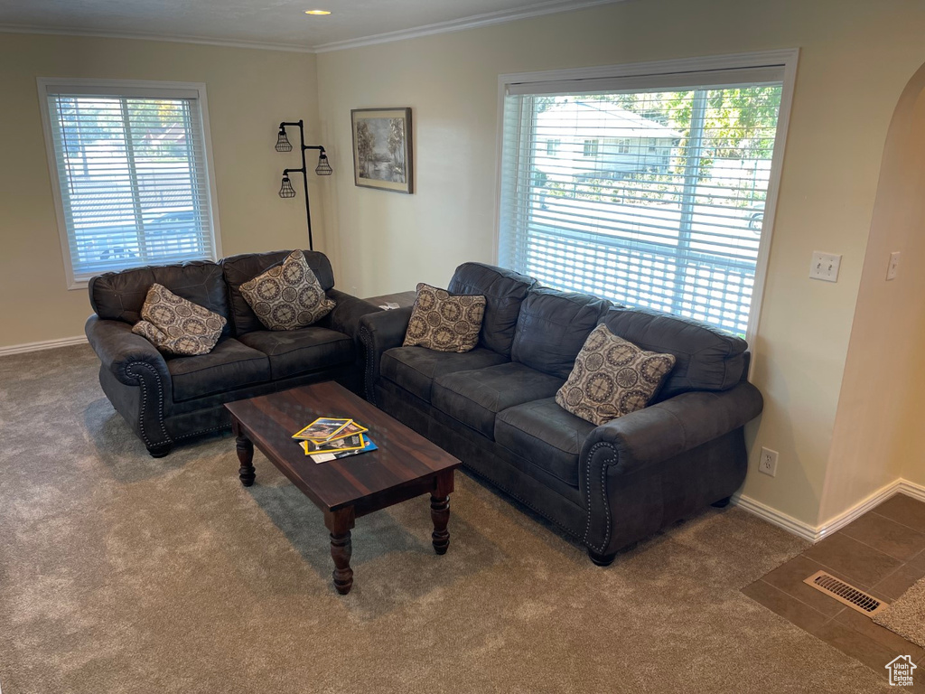 Living room featuring crown molding, baseboards, visible vents, and carpet