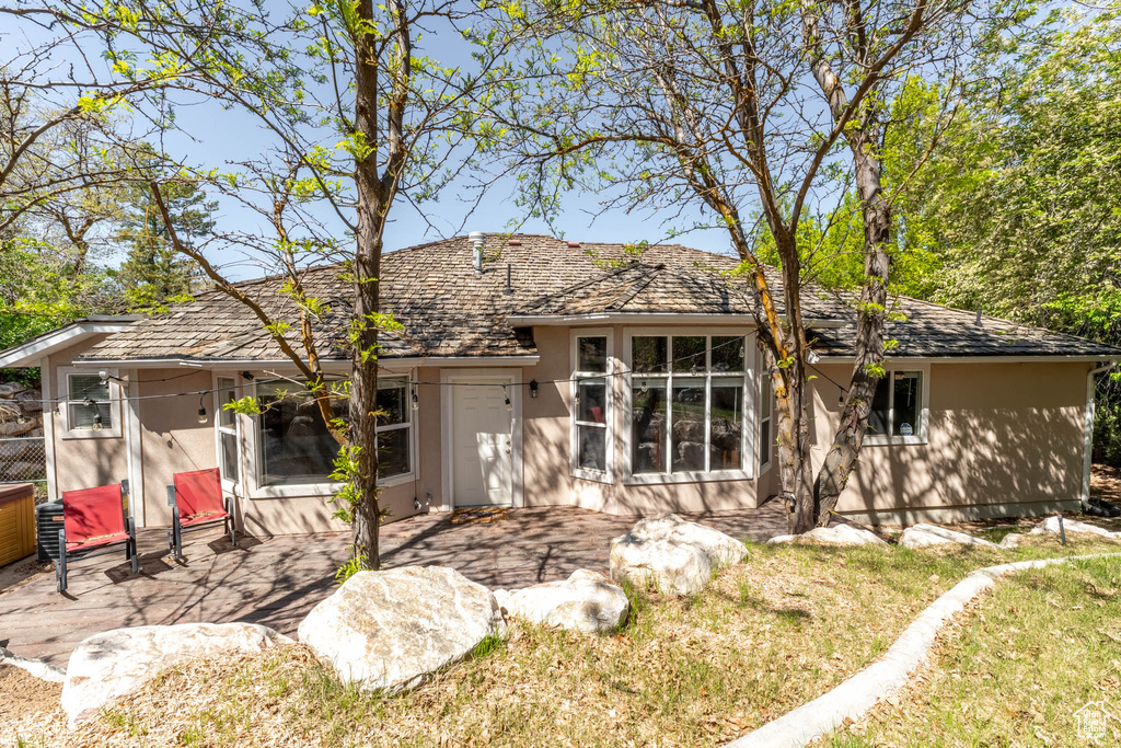 Rear view of house with a yard, a patio area, and stucco siding