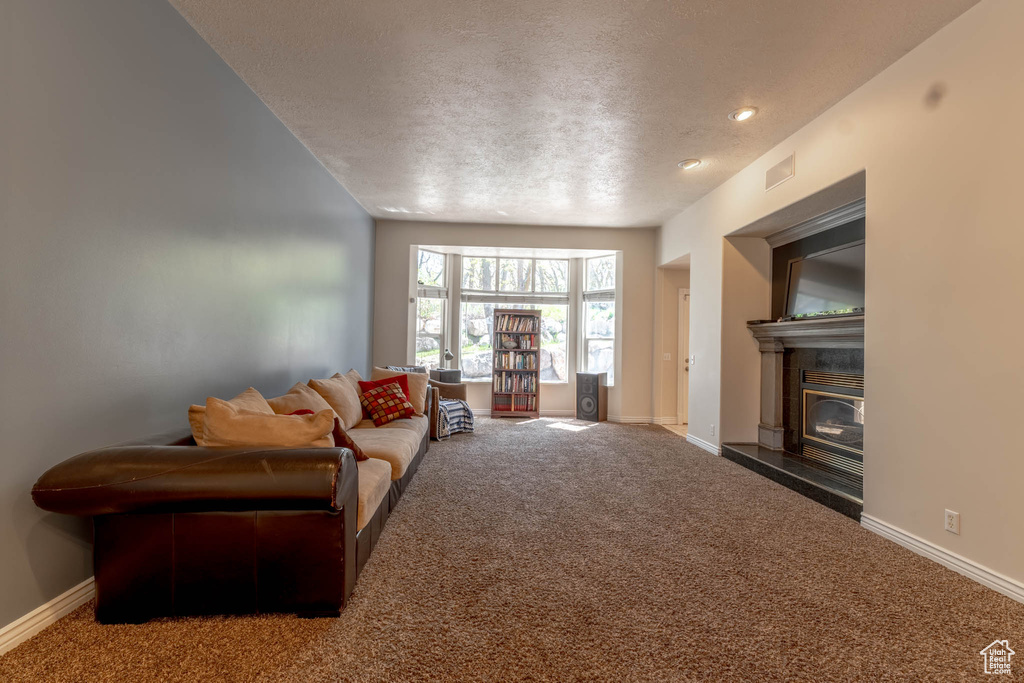 Living room with a textured ceiling, visible vents, and carpet