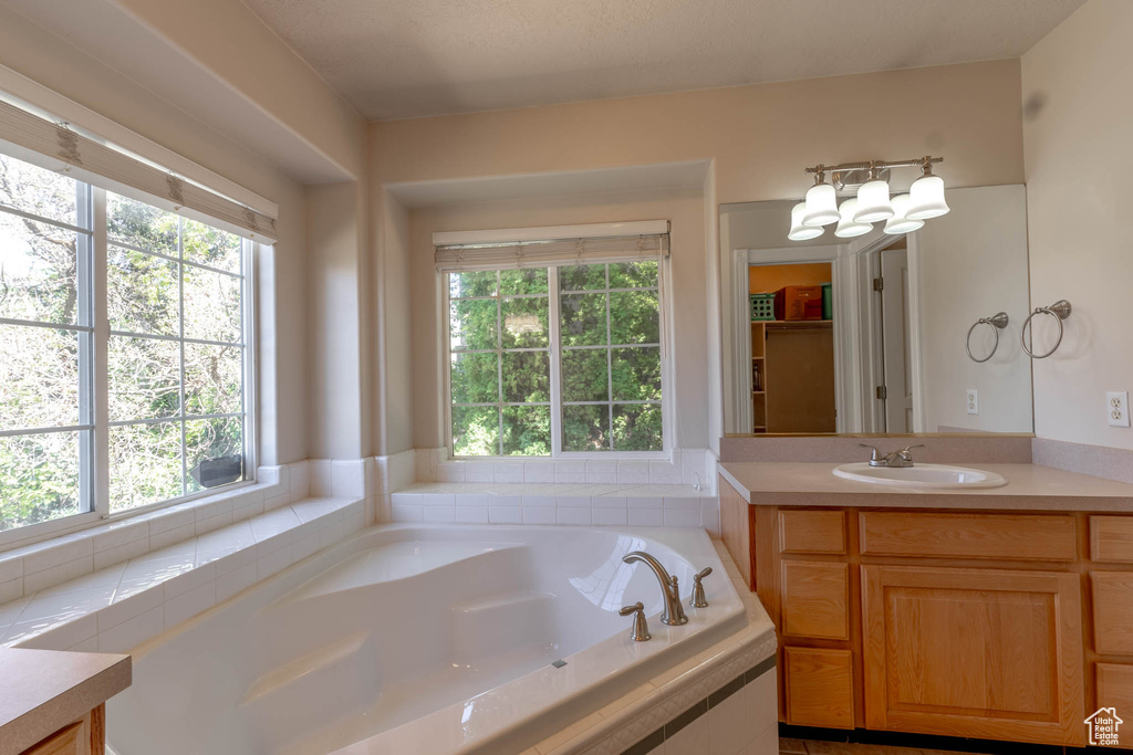 Bathroom with a healthy amount of sunlight, vanity, and a garden tub