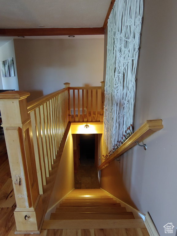 Stairs with wood finished floors