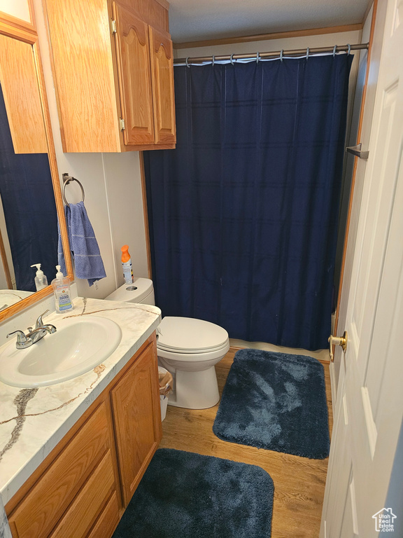 Bathroom featuring vanity, a shower with curtain, toilet, and wood finished floors
