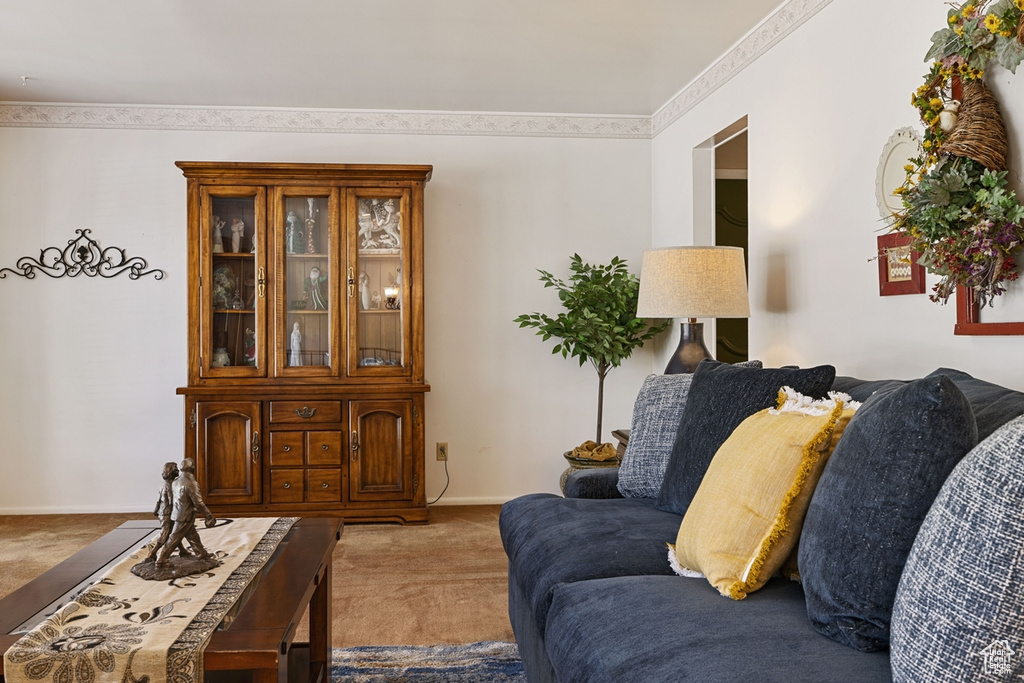 Living area with carpet flooring