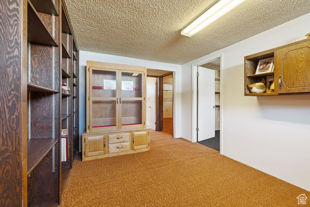 Interior space featuring carpet flooring and a textured ceiling