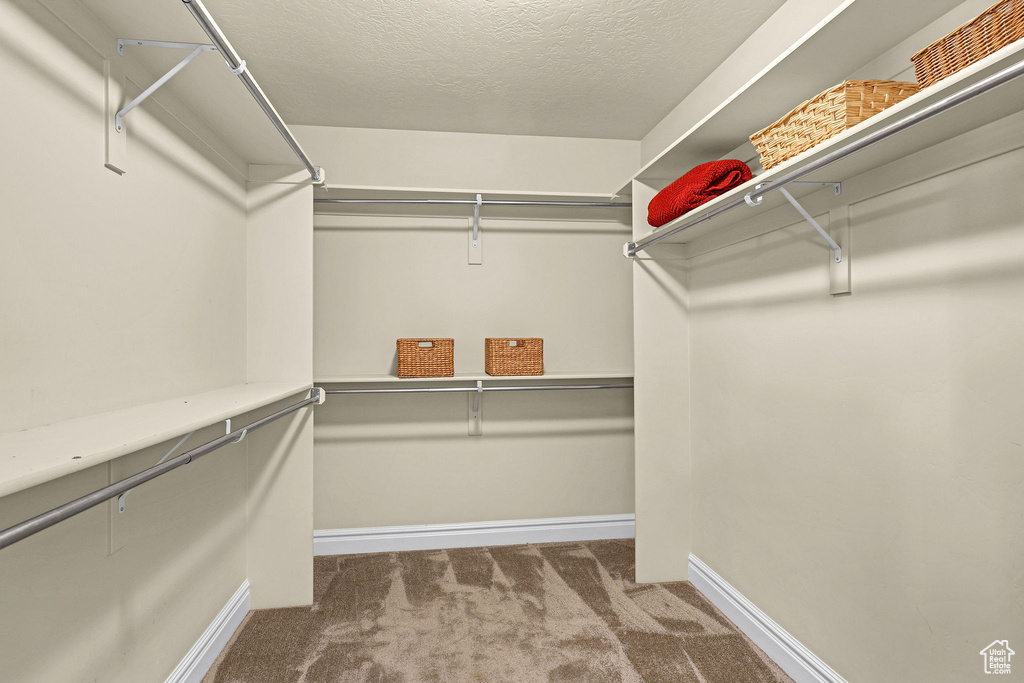 Spacious closet featuring carpet flooring