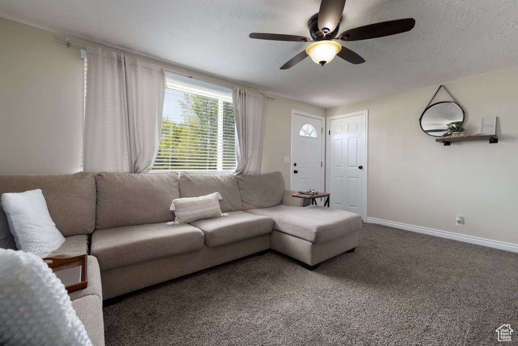 Living room featuring baseboards, ceiling fan, and carpet