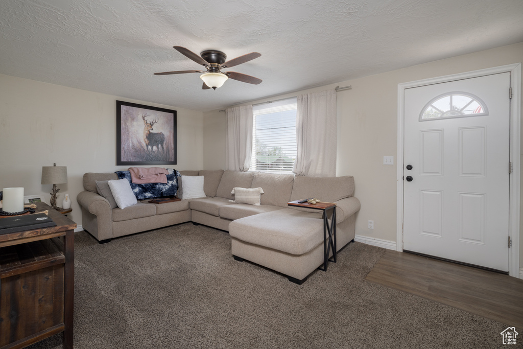 Carpeted living room with baseboards, ceiling fan, and a textured ceiling