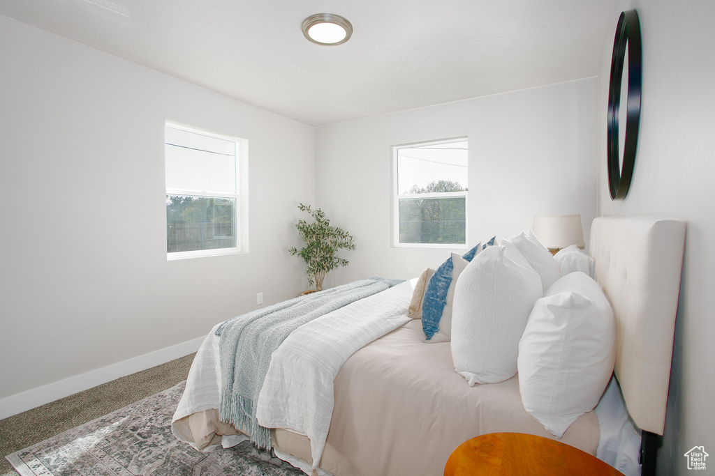 Carpeted bedroom featuring baseboards and multiple windows