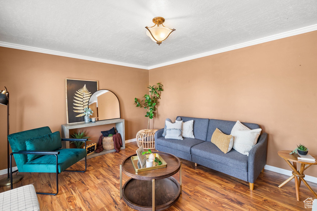 Living area featuring baseboards, ornamental molding, and wood finished floors