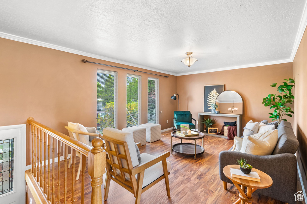 Living area featuring crown molding, baseboards, a textured ceiling, and wood finished floors