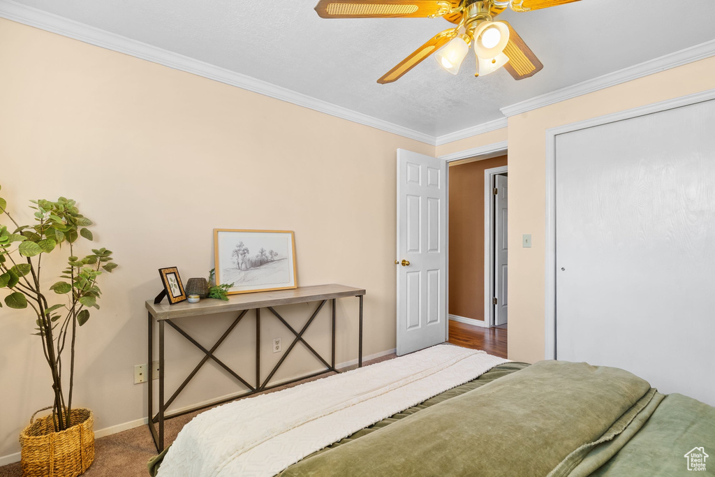 Carpeted bedroom with crown molding, baseboards, and a ceiling fan
