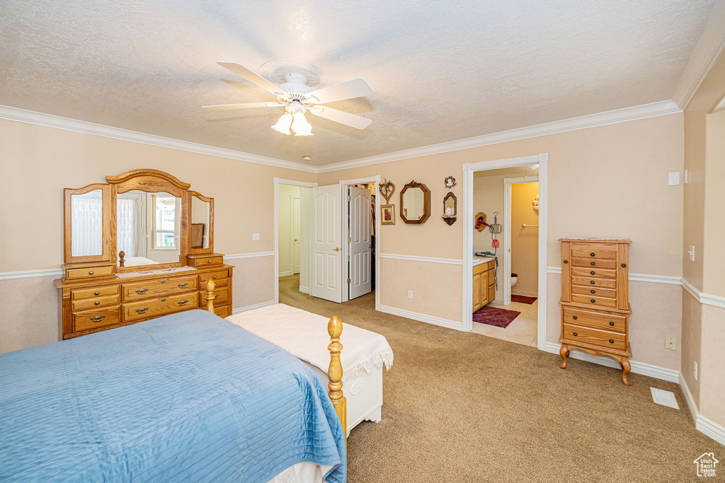 Bedroom featuring crown molding, a textured ceiling, a walk in closet, and connected bathroom