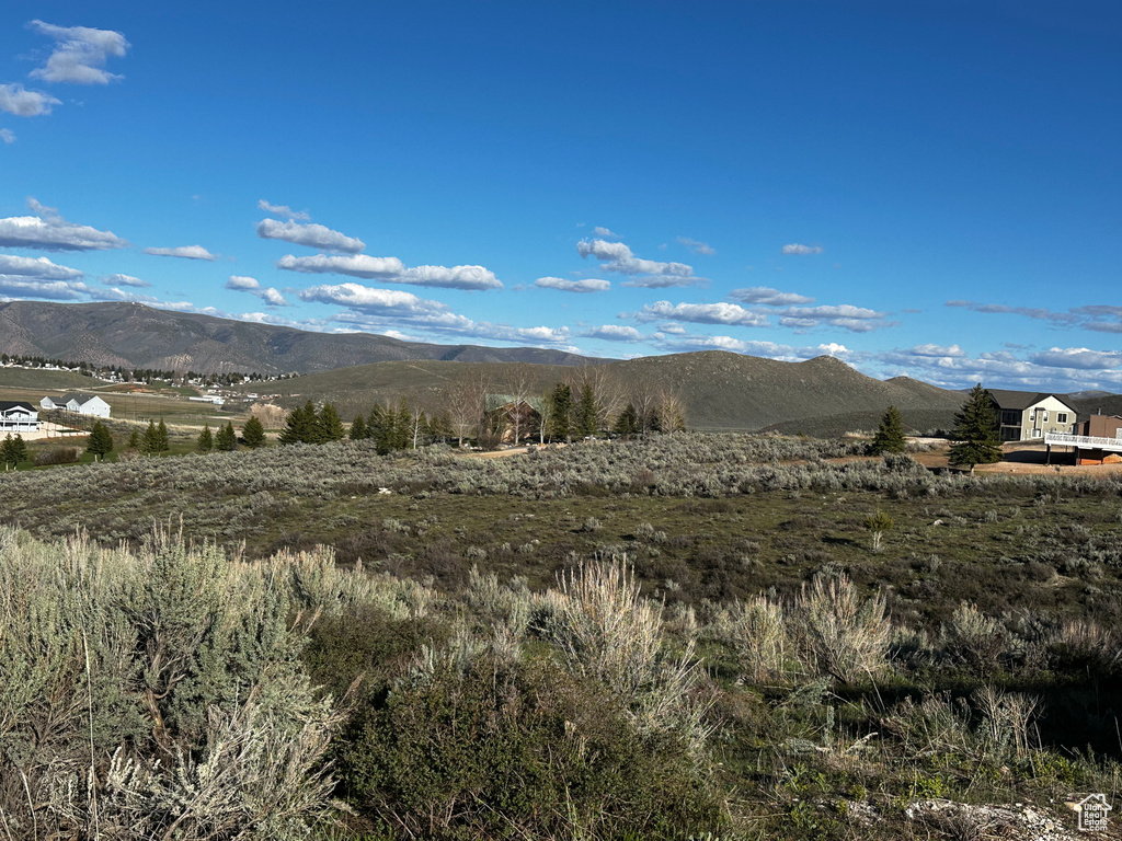 Mountain view