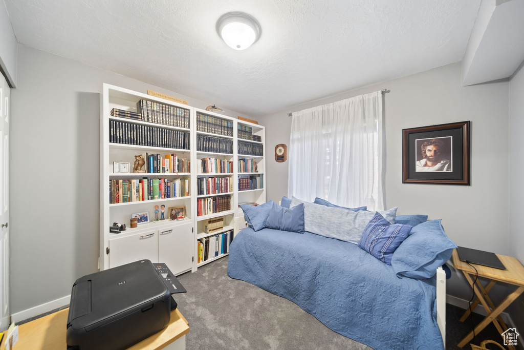 Sitting room with carpet floors
