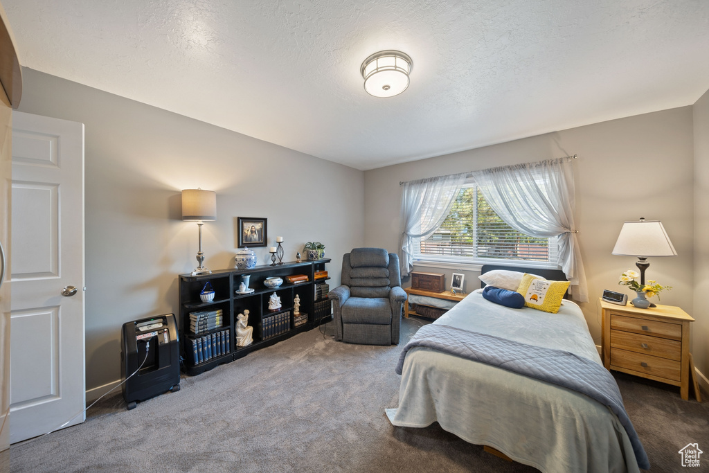 Bedroom featuring carpet flooring and a textured ceiling