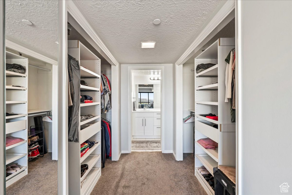 Walk in closet with carpet flooring