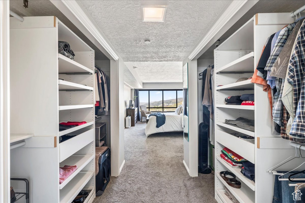 Spacious closet with carpet floors