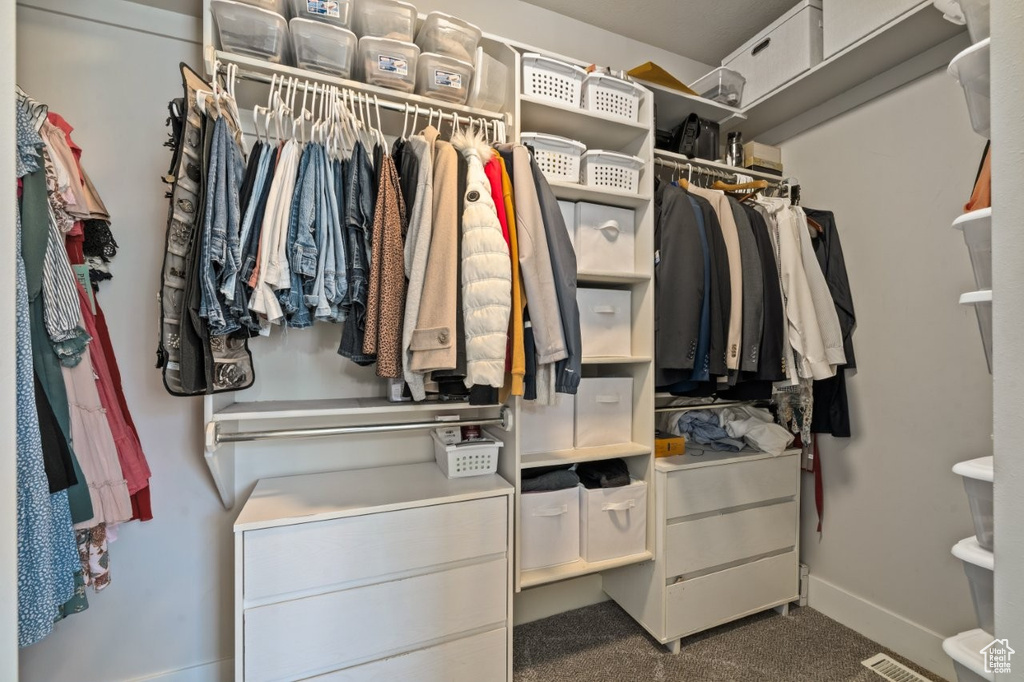 Walk in closet featuring carpet floors and visible vents