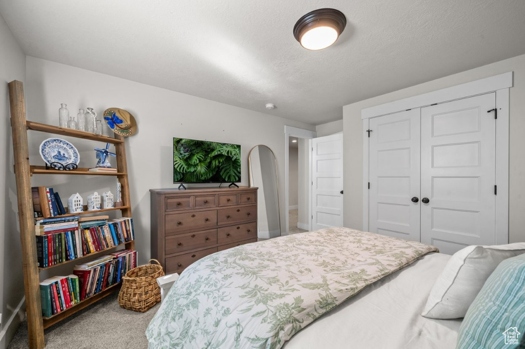 Bedroom with carpet floors and a closet