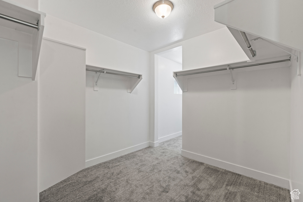 Spacious closet with carpet