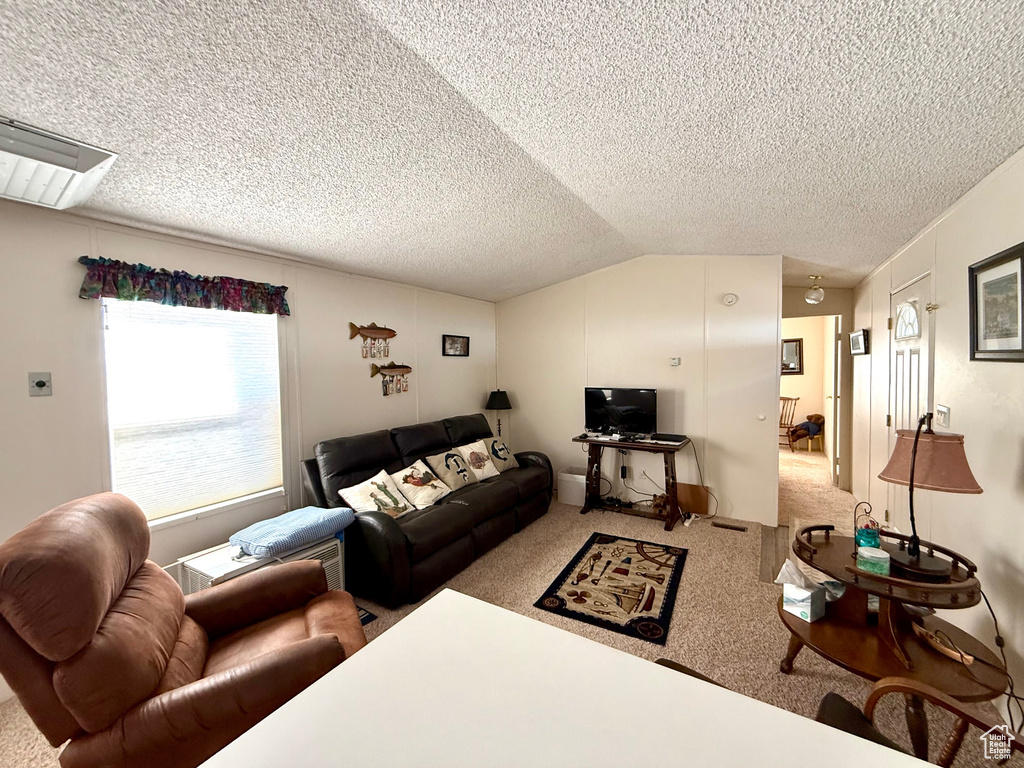Living area featuring carpet, a textured ceiling, and lofted ceiling