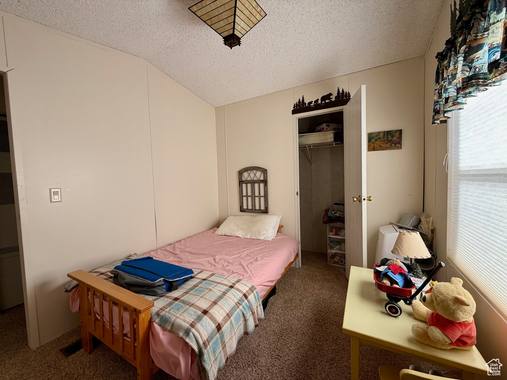 Carpeted bedroom featuring a closet, a textured ceiling, a walk in closet, and vaulted ceiling