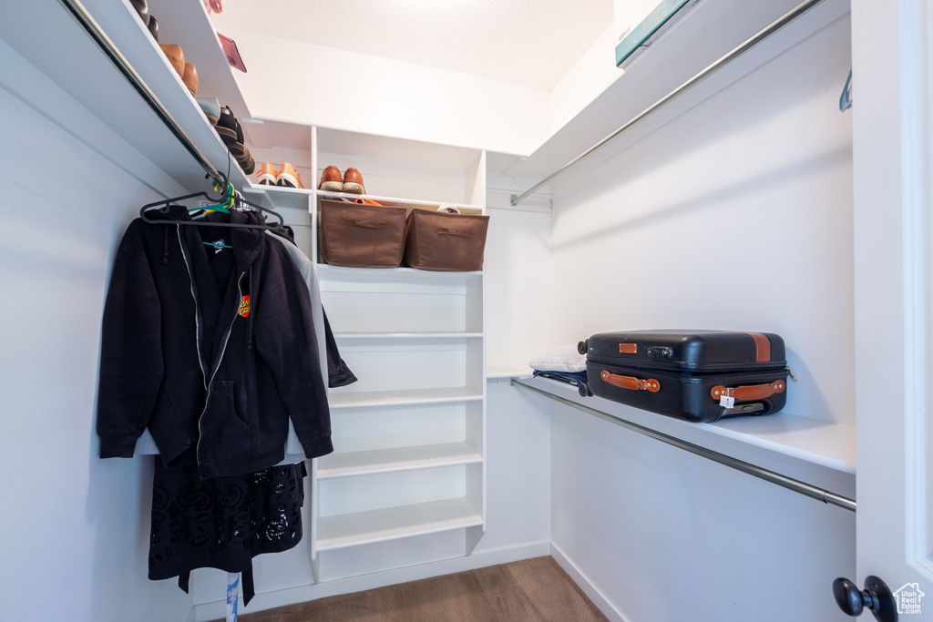 Spacious closet featuring wood finished floors