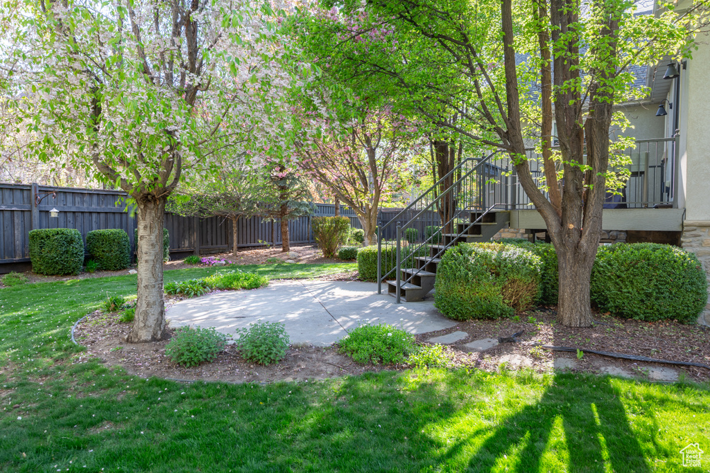 View of yard with a fenced backyard, a patio, and stairway