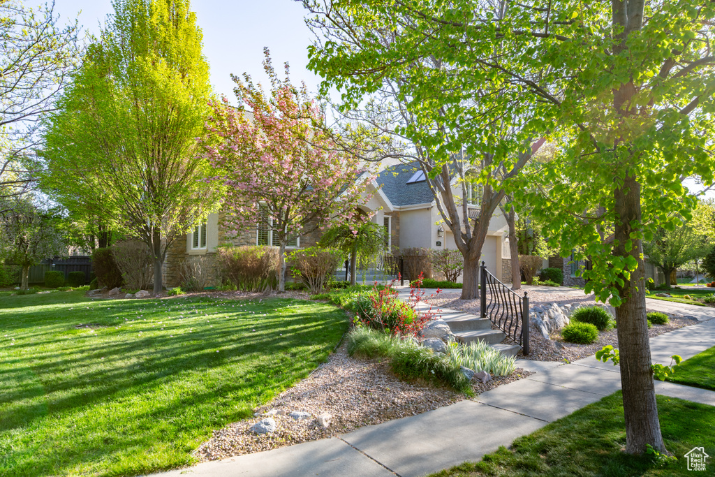 Obstructed view of property featuring a front yard, stone siding, and stucco siding