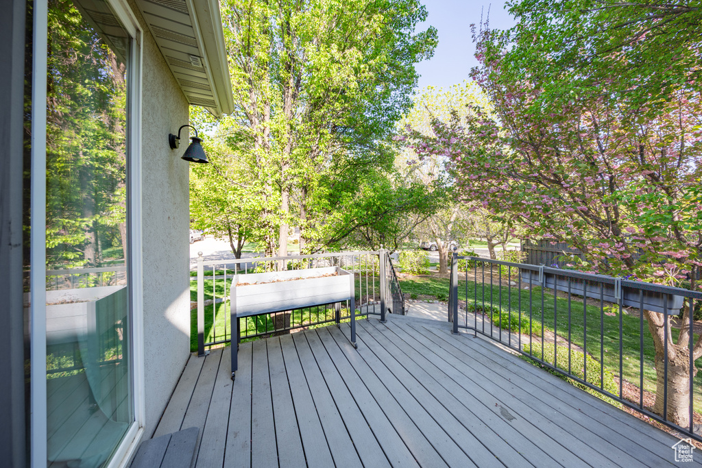 View of wooden terrace