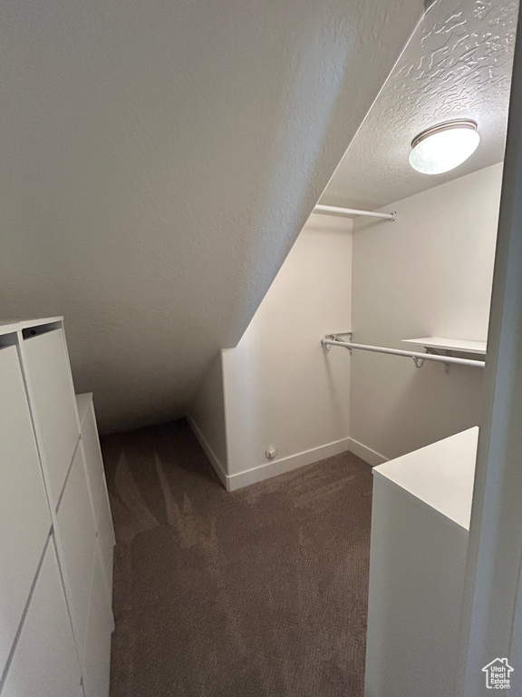 Spacious closet featuring dark colored carpet