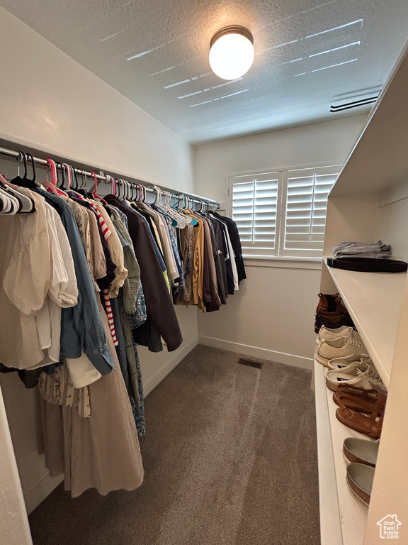 Walk in closet with carpet and visible vents