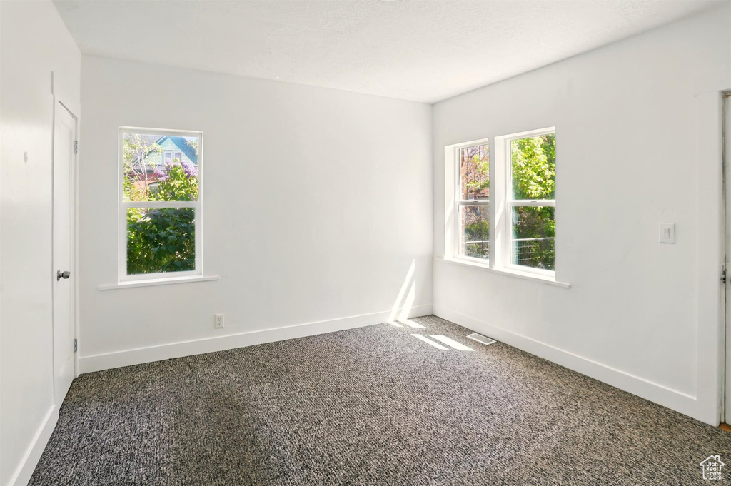 Empty room featuring a healthy amount of sunlight, baseboards, and carpet flooring