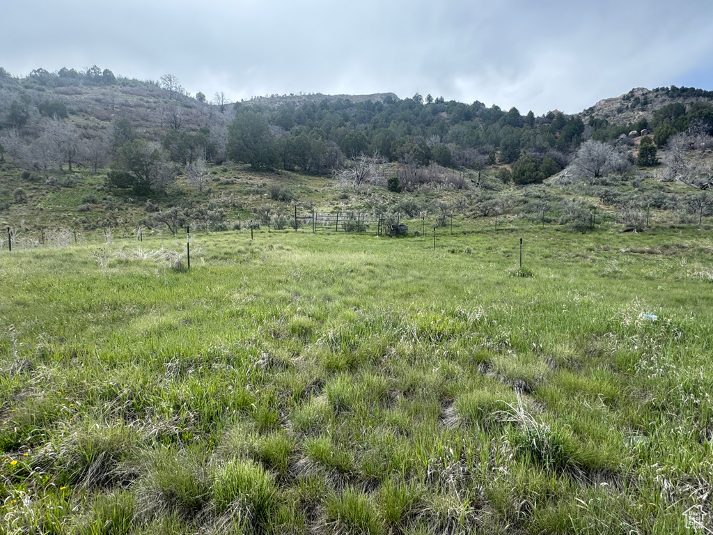 View of undeveloped land featuring rural landscape and a mountain backdrop