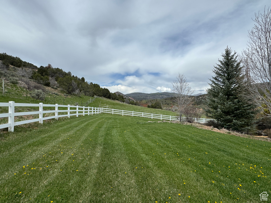 View of yard with a view of rural / pastoral area and a mountain view