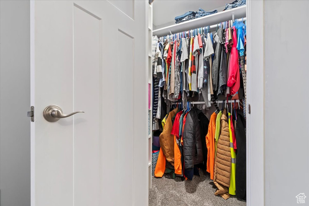 Walk in closet featuring carpet floors