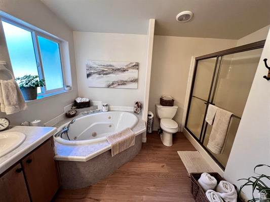 Bathroom with a jetted tub, vanity, a stall shower, and toilet