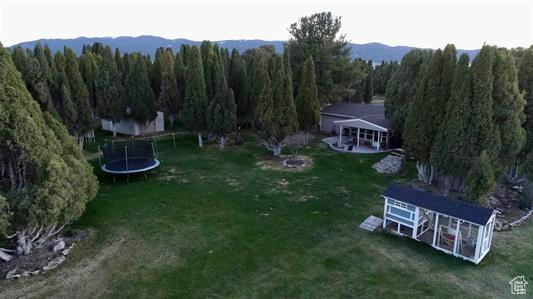 Aerial view with a view of trees and a mountain view