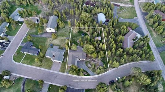 Drone / aerial view