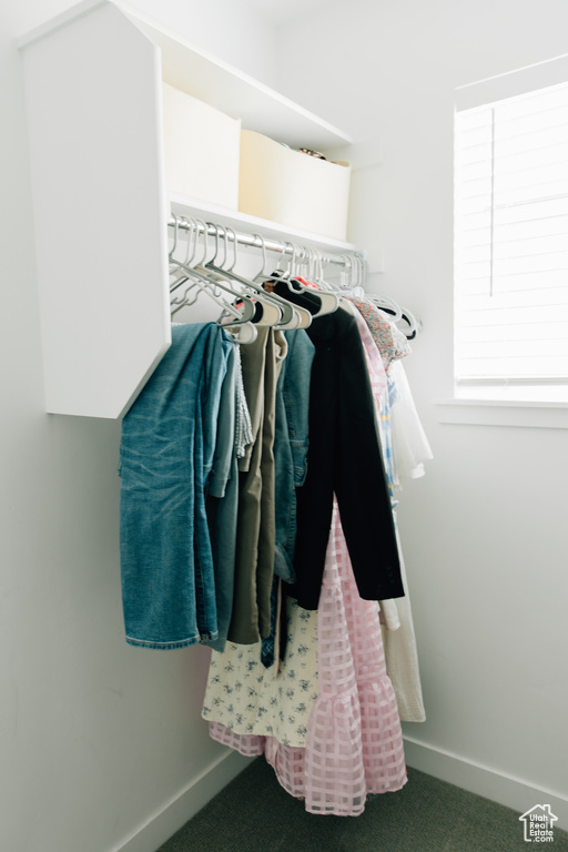 Spacious closet featuring carpet flooring