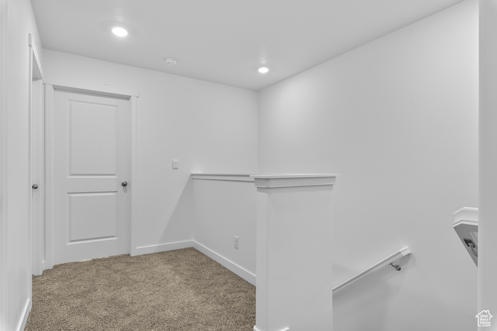 Walk in closet with carpet floors