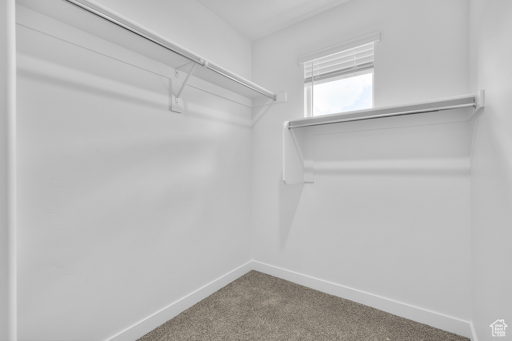 Spacious closet with carpet flooring