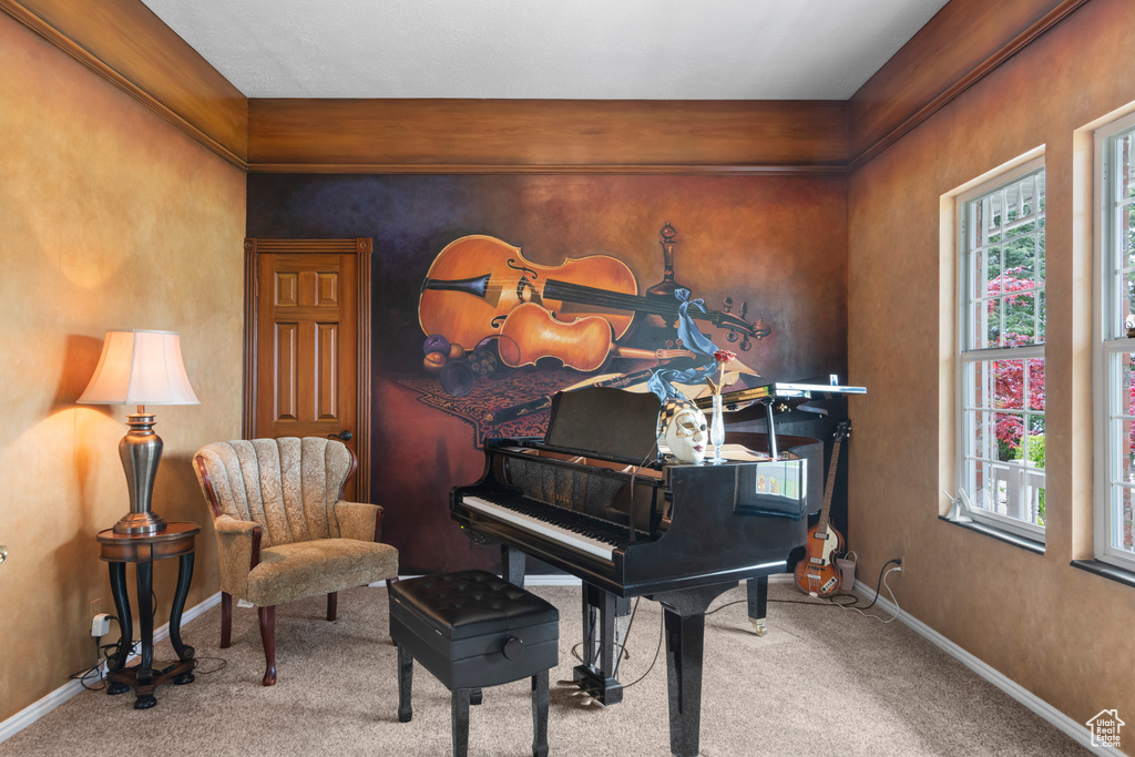 Sitting room featuring carpet floors, plenty of natural light, and baseboards