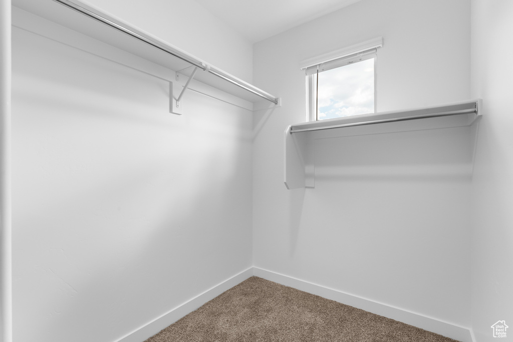 Spacious closet featuring carpet